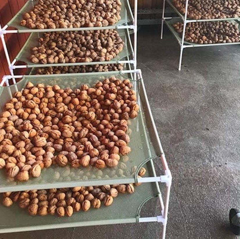 Sušák Clever Grow zelený, 6 patrový