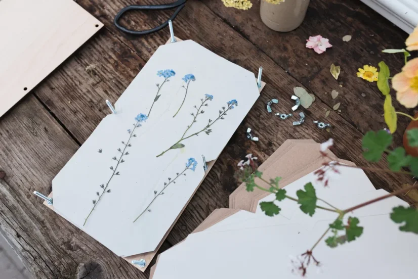 Herbář – lis na rostliny – velký