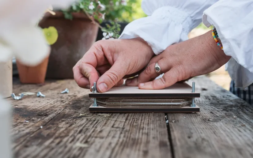 Herbář chrpa modrá – lis na rostliny – střední