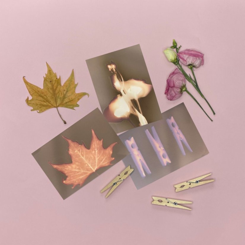 Set DIY pentru realizarea amprentelor luminoase din plante aromatice uscate – cărți poștale