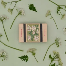 Zsebherbárium – növényprés