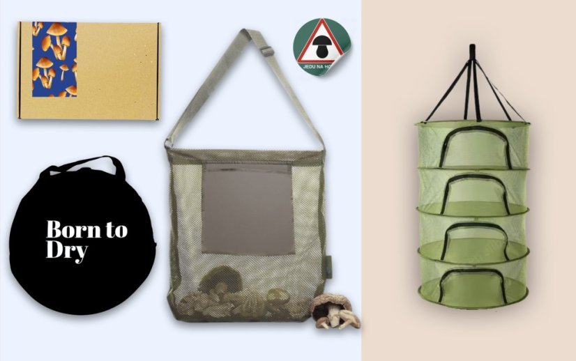 Dárkové balení: Hurá na houby – střední - Vyberte barvu sítě: zelená