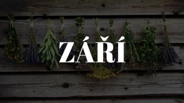 Podzimní sběr a sušení, sezóna nekončí