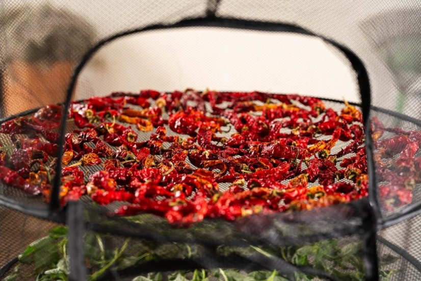 Sušicí síť Clever Grow černá se zipem 6 pater