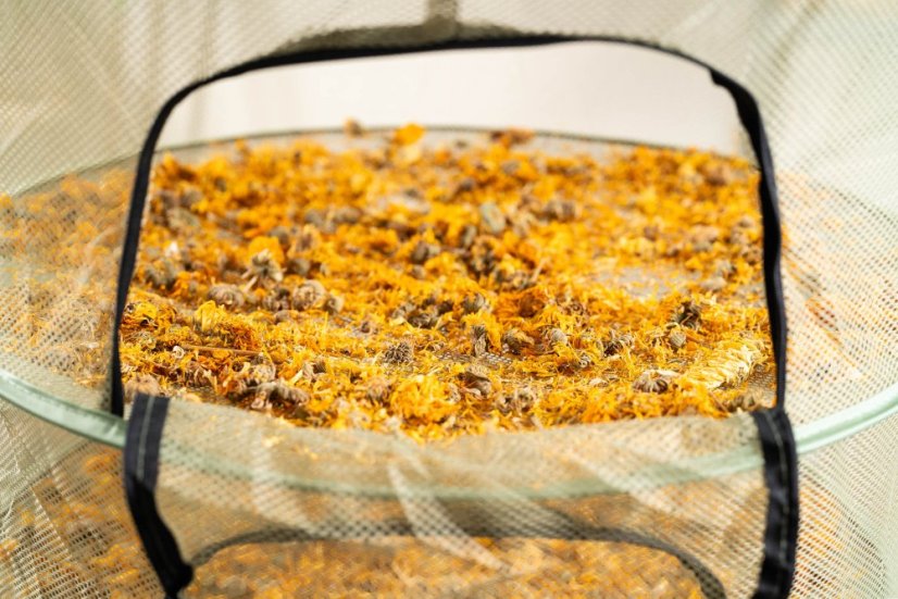 Sušicí síť Clever Grow Max zelená se zipem 8 pater