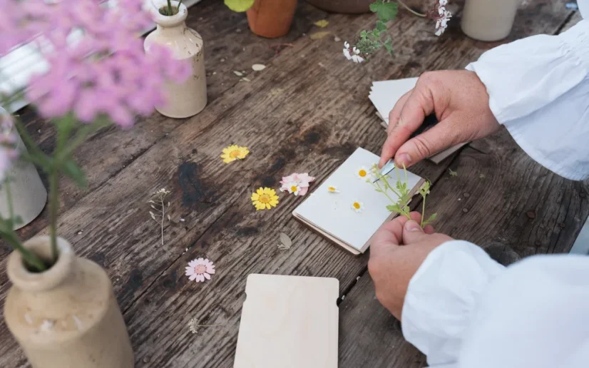 Herbar de buzunar – presă pentru plante