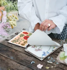 Herbárium mák – növényprés – nagy