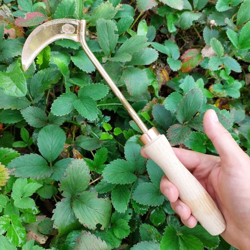 Bronzový odstraňovač plevele Slavomíra