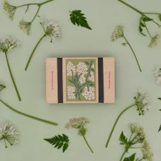 Zsebherbárium – növényprés