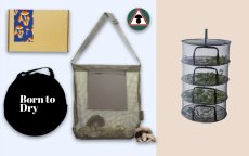 Pachet cadou: Ura pentru ciuperci - Mediu