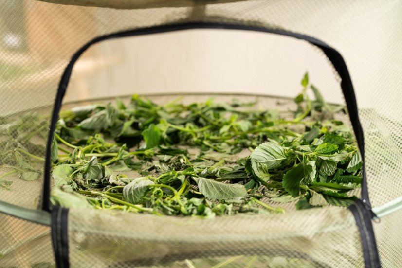 Sušicí síť Clever Grow Max zelená se zipem 8 pater