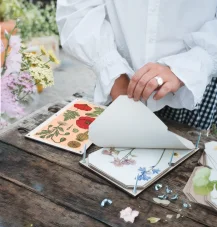 Herbář vlčí mák – lis na rostliny – velký