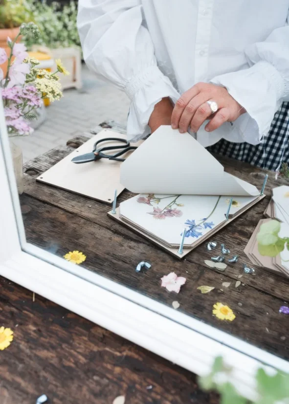 Herbář – lis na rostliny – velký