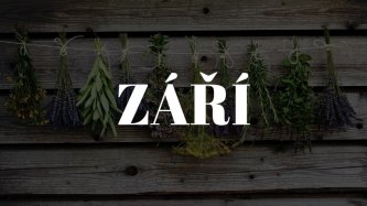Podzimní sběr a sušení, sezóna nekončí