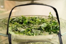 Sušicí síť Clever Grow zelená se zipem 4 patra