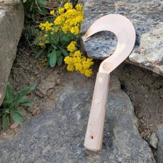 Kis bronz sarló gyógynövényekhez Miroslav