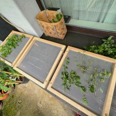 Fából készült szárítóállvány fűszernövények, gombák, zöldségek és gombák számára, 3 szintes – 50x50 cm