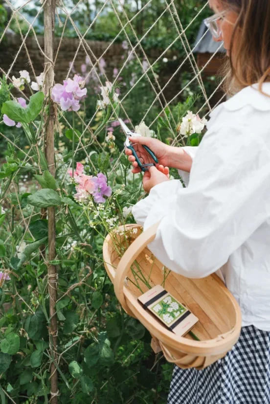 Herbar de buzunar – presă pentru plante