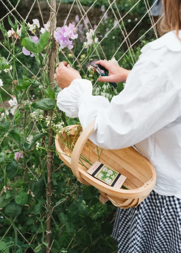 Herbar de buzunar – presă pentru plante