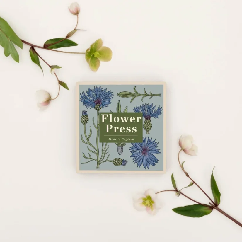 Herbář chrpa modrá – lis na rostliny – střední